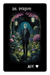 28-PERSON-gigapixel-standard-v2-800h