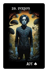 29-PERSON-gigapixel-standard-v2-800h