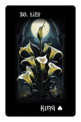 30-LILY-gigapixel-standard-v2-800h